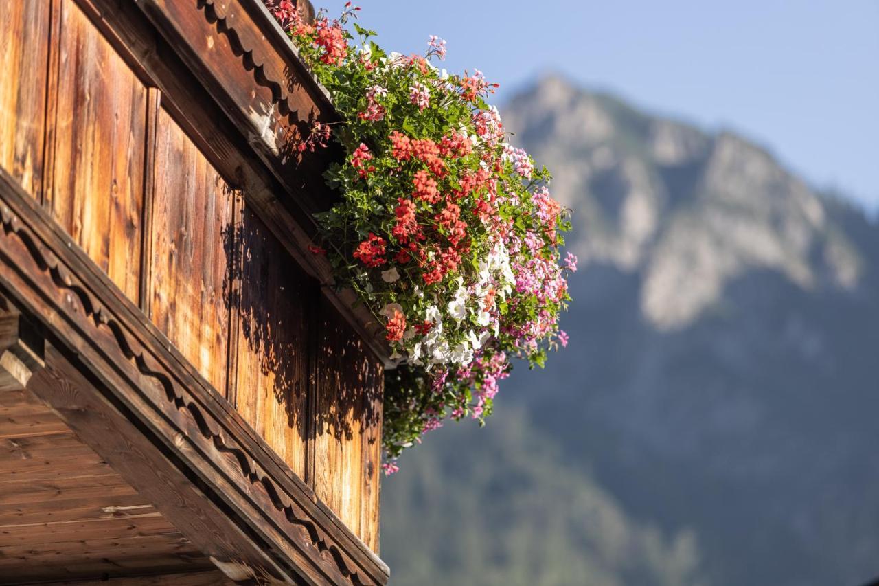Wellnessappartements Margit Alpbach Dış mekan fotoğraf